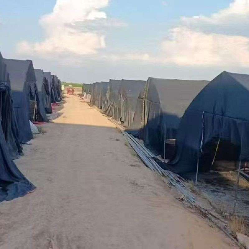 Сельскагаспадарчая сонцаахоўная сетка